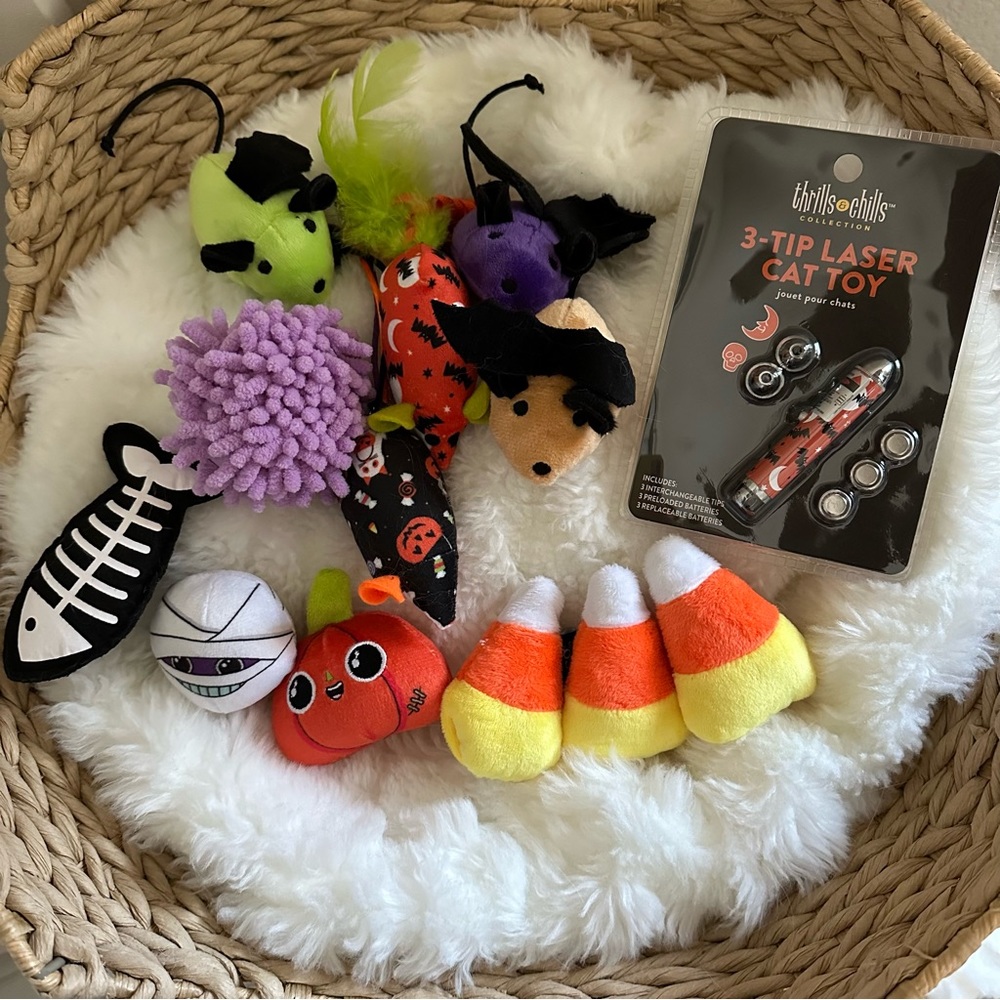 Cat Toys